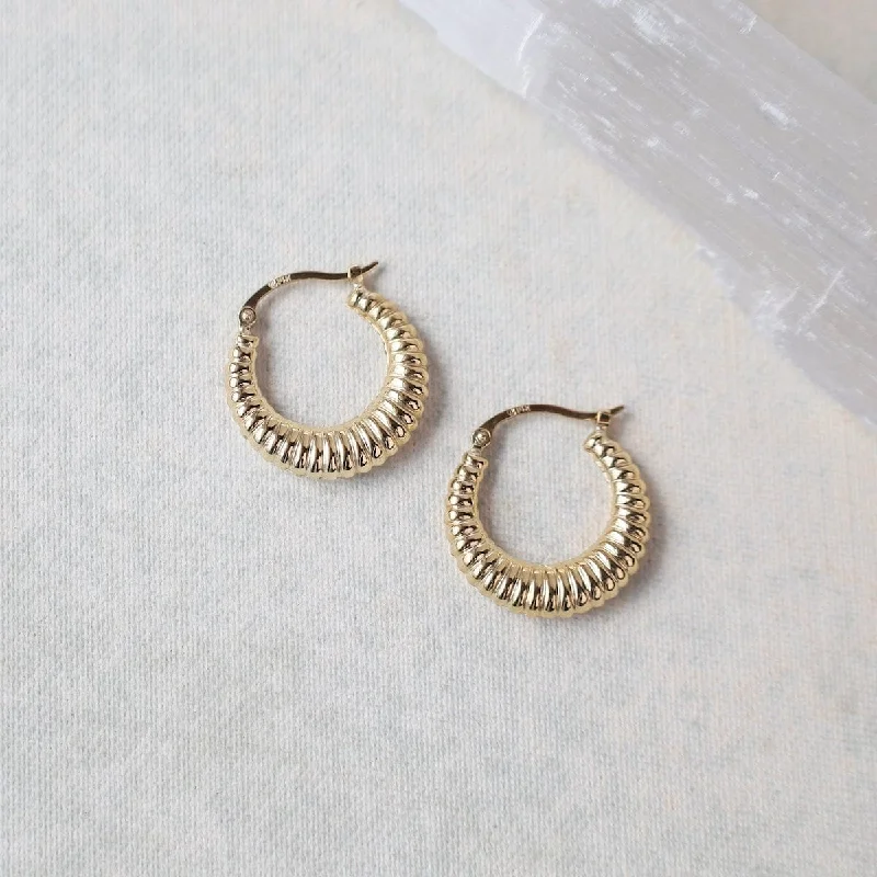 14k Small Shrimp Shell Hoops