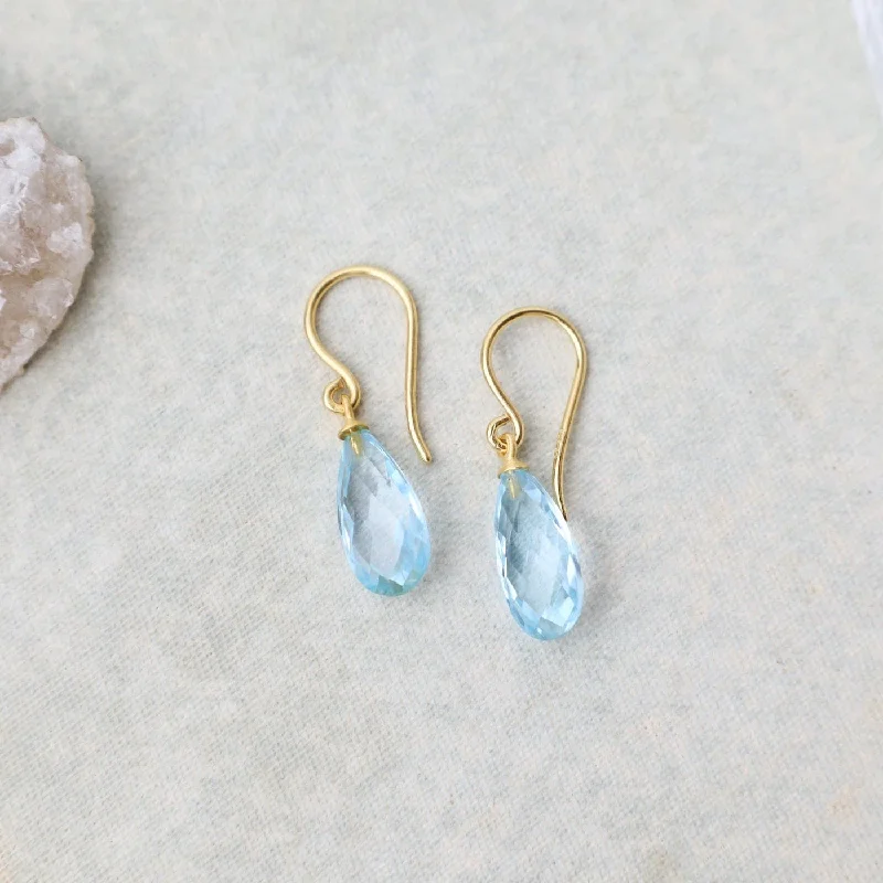 Faceted Sky Blue Drop Earrings